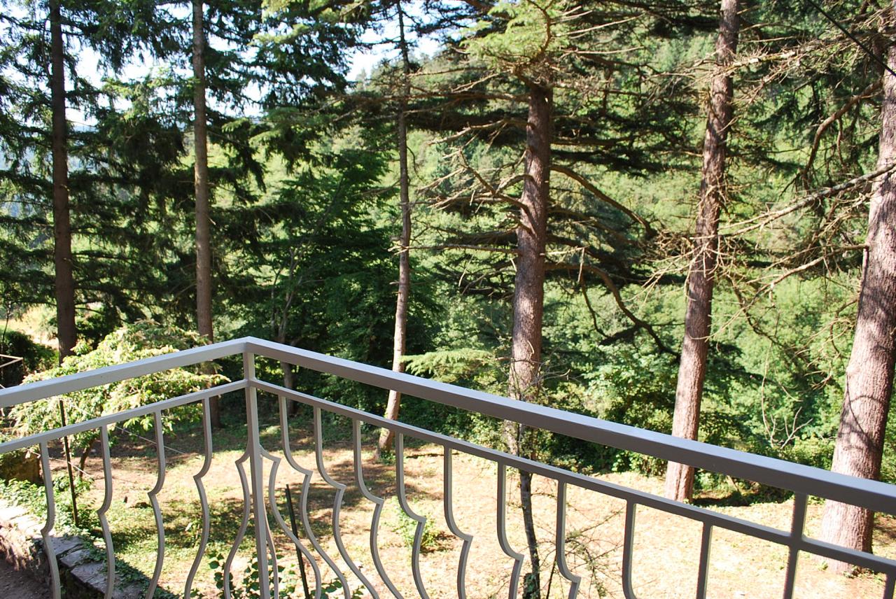 Vue sur le jardin du balcon du gîte.